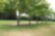 Jardin 2.JPG